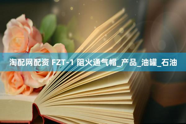淘配网配资 FZT-1 阻火通气帽_产品_油罐_石油