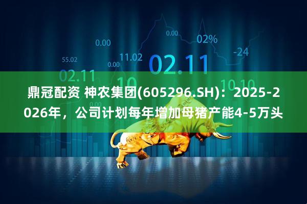 鼎冠配资 神农集团(605296.SH)：2025-2026年，公司计划每年增加母猪产能4-5万头