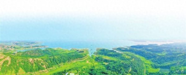 新玺配资 四水映绿 豫见两山丨石缝“绣”绿成金山