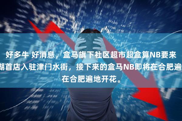 好多牛 好消息，盒马旗下社区超市超盒算NB要来了，滨湖首店入驻津门水街，接下来的盒马NB即将在合肥遍地开花。